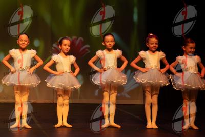 SHOW_00369.jpg